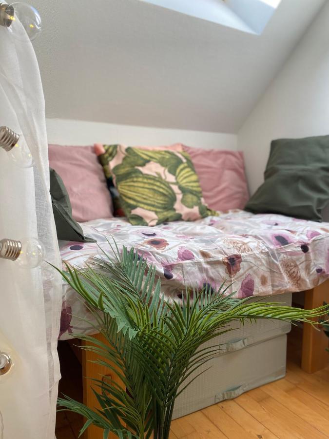 纳克斯考Kongenstofte House别墅 外观 照片